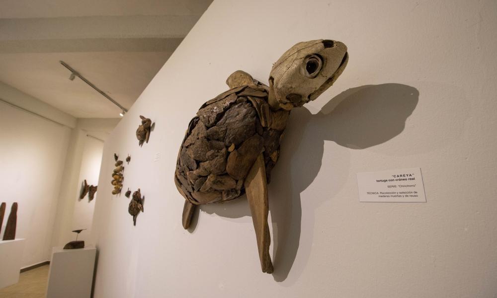 Inauguran Exposición “Symbiosis” en el Museo de arte Peter Gray