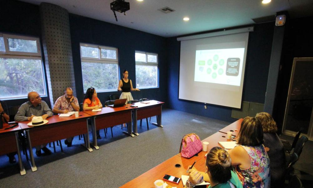 REPLANTEAN PROYECTOS DEL P3E PARA EL CUCOSTA