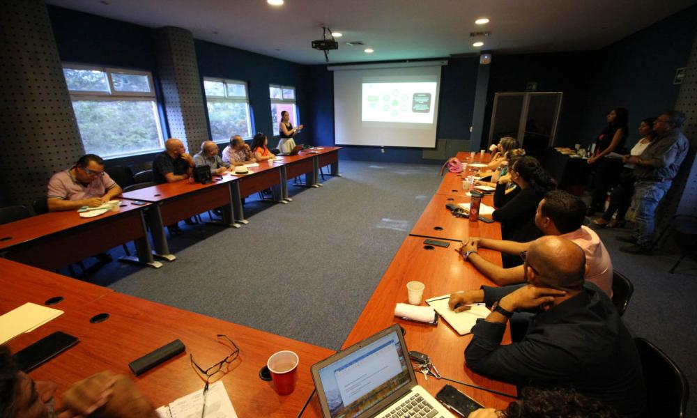 REPLANTEAN PROYECTOS DEL P3E PARA EL CUCOSTA