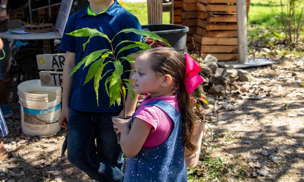 Sábados en la Ciencia La Diversidad Marina