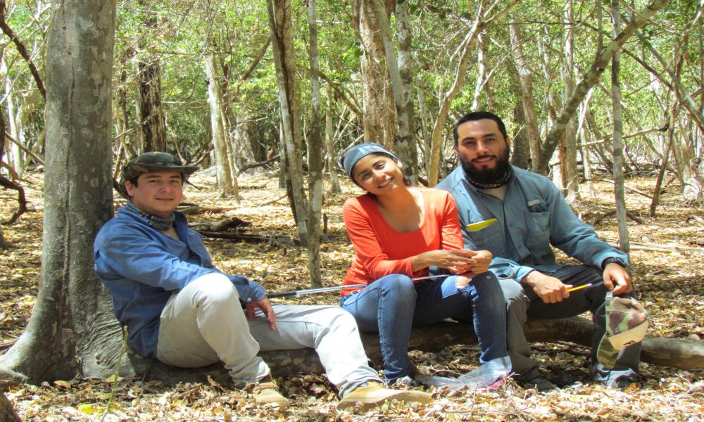 Registran investigadores del CUCosta nueva especie de reptil en Isla María Cleofas