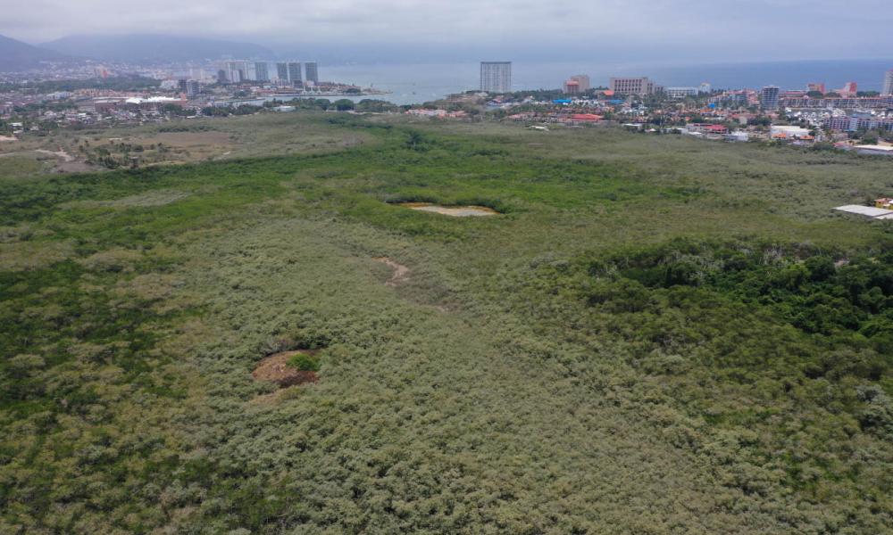 UdeG, sólo respaldará proyecto que tenga Soporte Técnico y Científico para proteger el estero “El Salado” Dr. Jorge Téllez