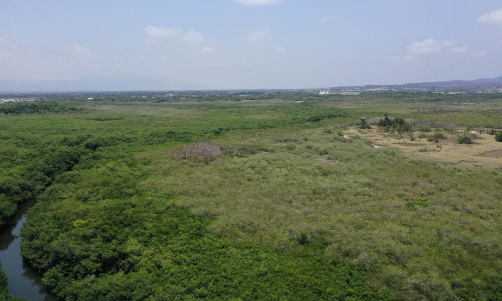 “El Proceso del Estero “El Salado” Fue Gratificante” Doctor Jorge Téllez