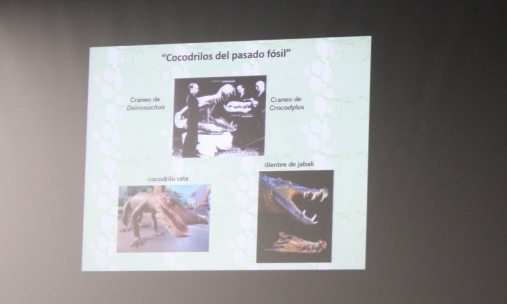 El “Mundo de los Cocodrilos” Sábados de la Ciencia en CUCosta