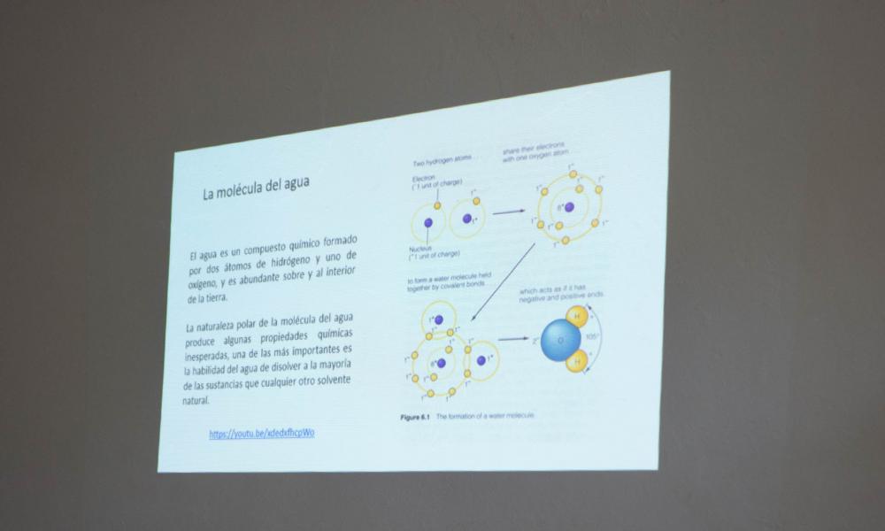 “Los Océanos están Amenazados por el Impacto de la Actividad Humana” Doctor Amílcar Cupul Magaña