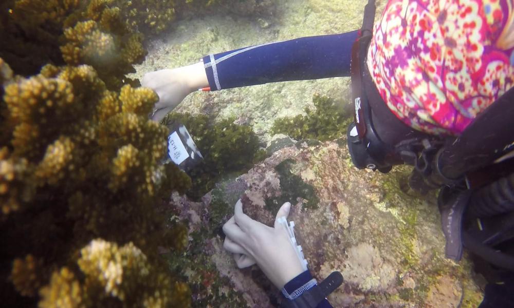 Gana CUCosta Premio Latinoamérica Verde 2021