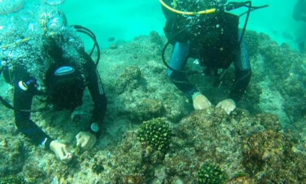 Gana CUCosta Premio Latinoamérica Verde 2021