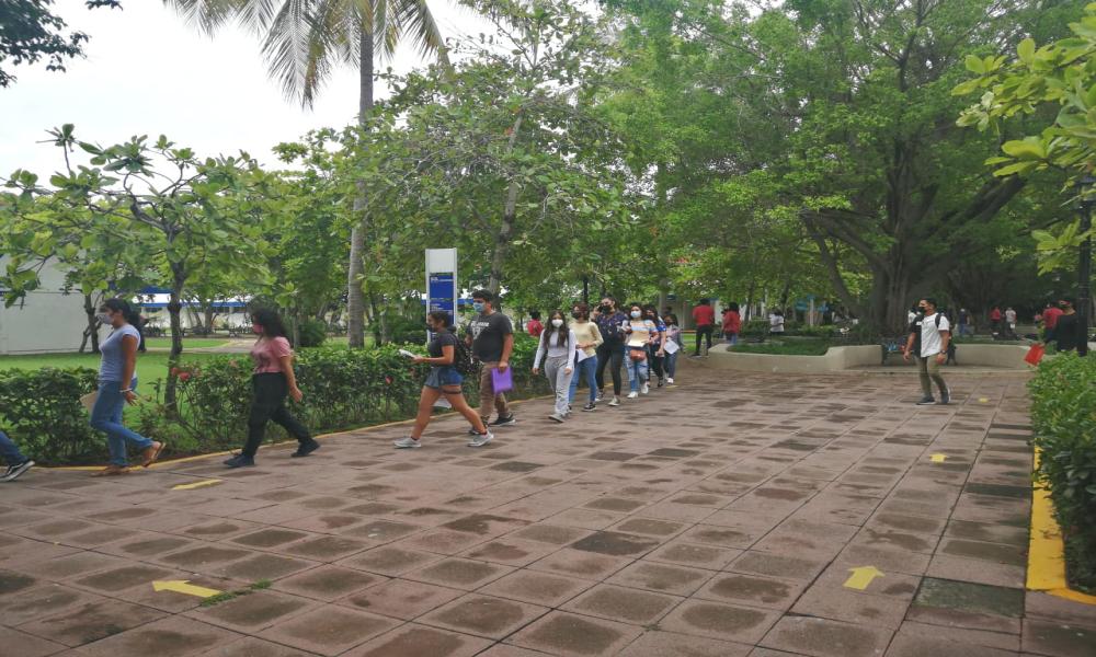 Realizan examen de admisión 1,590 aspirantes de 7 carreras en CUCosta