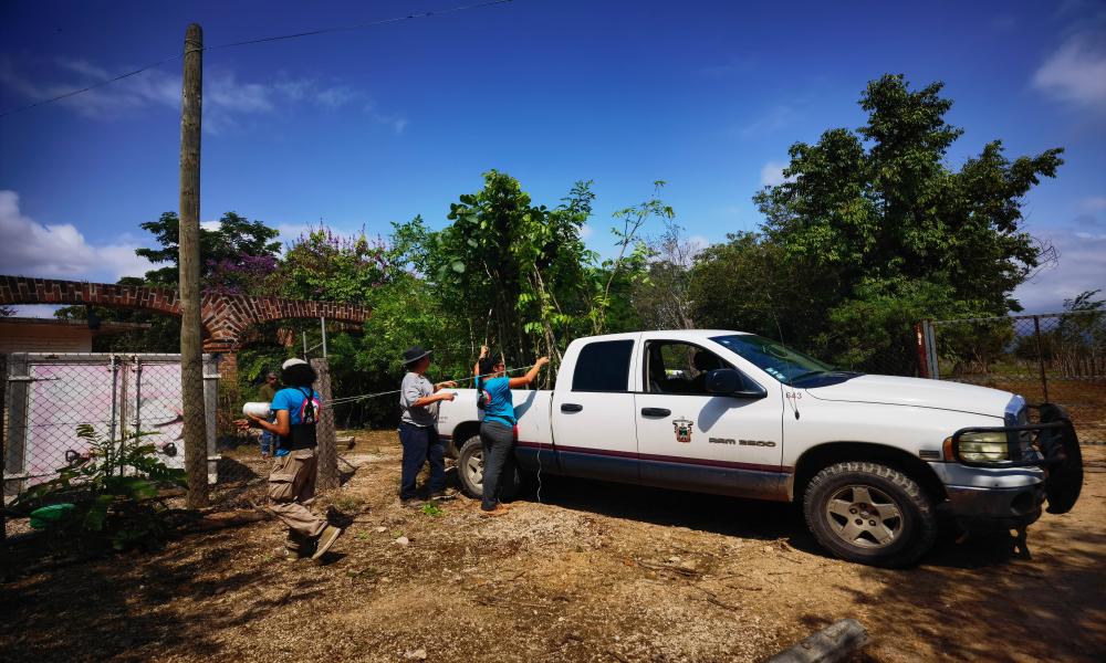 Participación de profesores y estudiantes del Centro Universitario de la Costa en la Mega arborización 2024 Puerto Vallarta