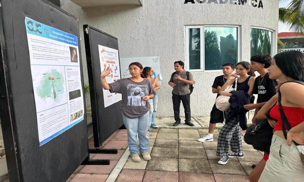 Con éxito culminan las actividades del 2do. Festival del Hongo
