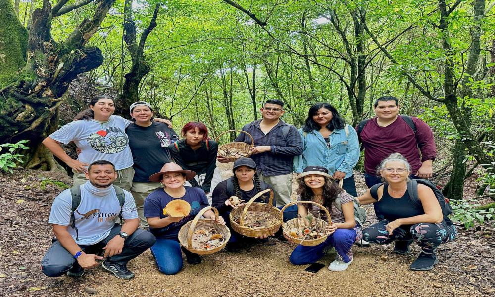 Con éxito culminan las actividades del 2do. Festival del Hongo