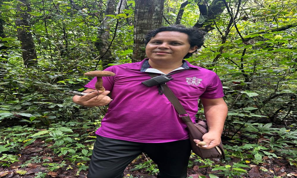 Con éxito culminan las actividades del 2do. Festival del Hongo