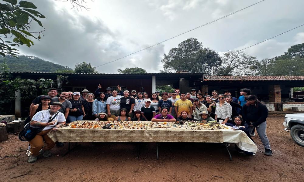 Con éxito culminan las actividades del 2do. Festival del Hongo
