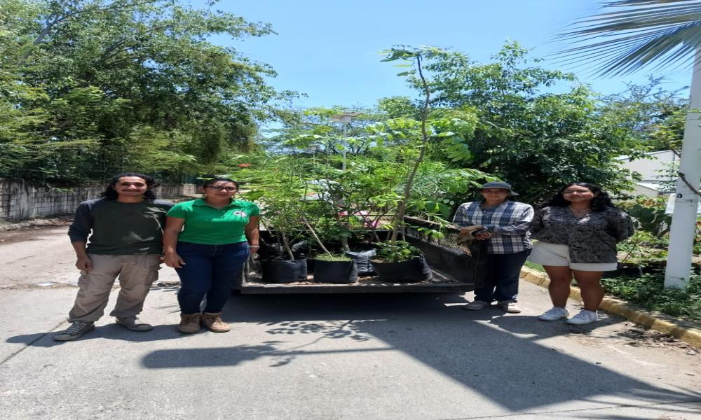 Participación de profesores y estudiantes del Centro Universitario de la Costa en la Mega arborización 2024 Puerto Vallarta