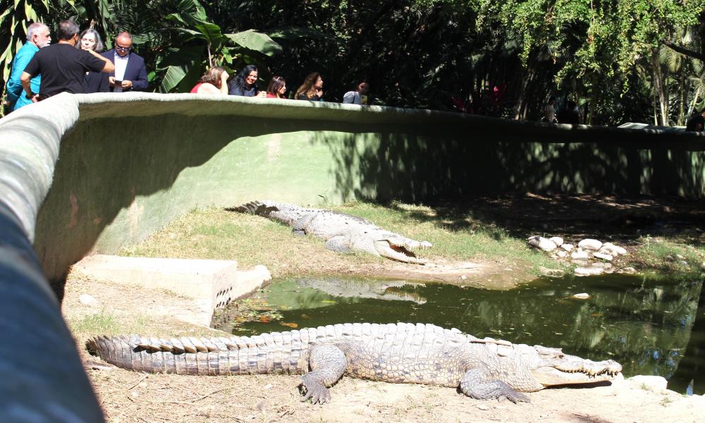 Facilitarán a la comunidad universitaria los trámites de visas y permiso especiales para viajar a EU