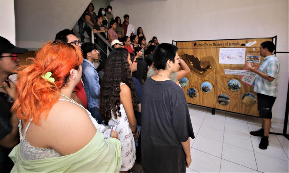 Inauguran Exposición ¡Vive el Arrecife! en CUCosta