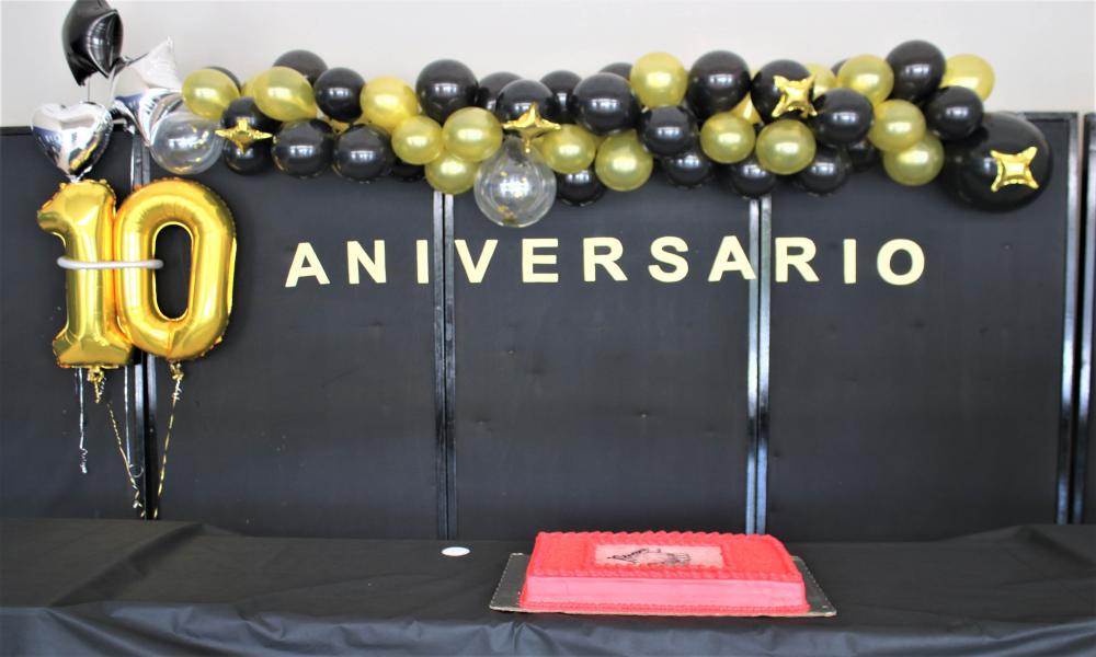 Cumple 10 años la carrera en Artes Visuales para la Expresión Plástica en CUCosta