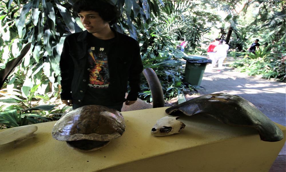 Los biólogos y biólogas juegan un papel importante en distintos ámbitos de la comunidad