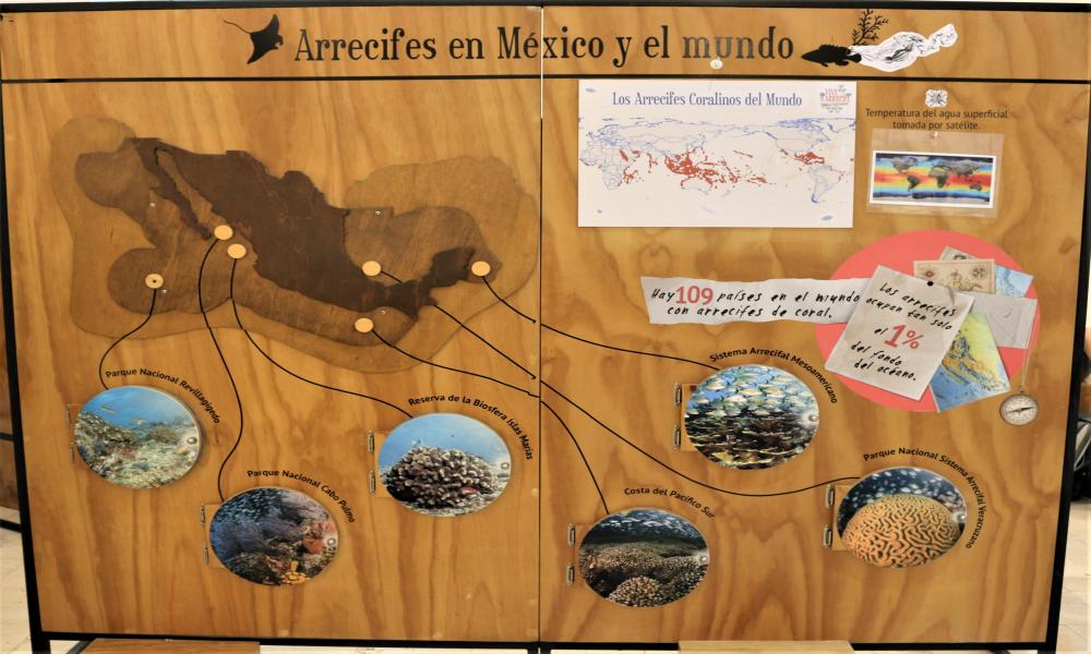 Abren exposición “Vive El Arrecife” en la Biblioteca Los Mangos Centro Cultural