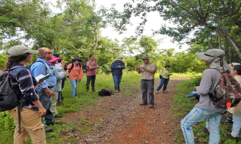 Profesores y alumnos del CUCosta identifican árboles nativos