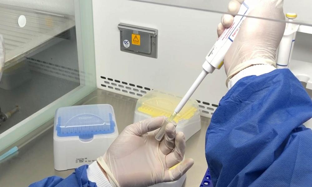 A partir de este martes, CUCosta retoma aplicación de pruebas PCR