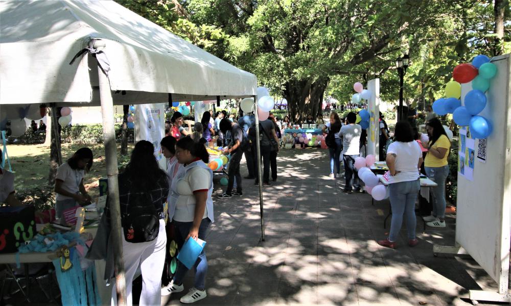 Arrancó la Feria CREADI en Centro Universitario de la Costa