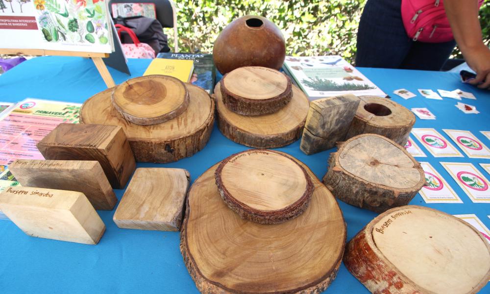 Celebran Día Mundial de la Tierra con Feria Ambiental