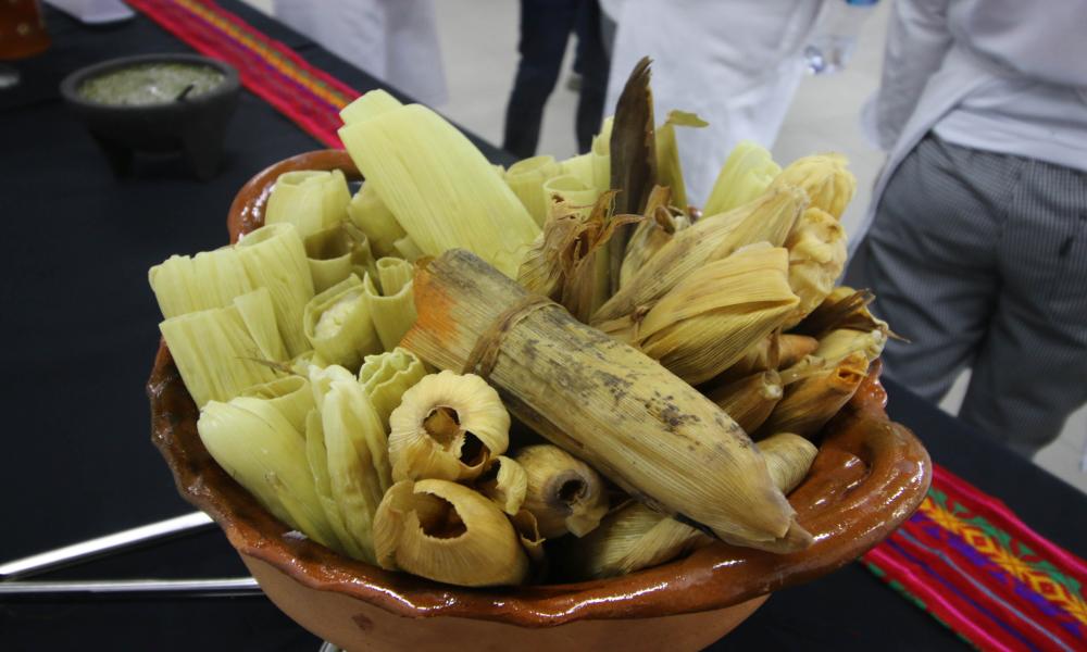 Realizan Muestra Gastronómica y Degustación de Tamales Tradicionales