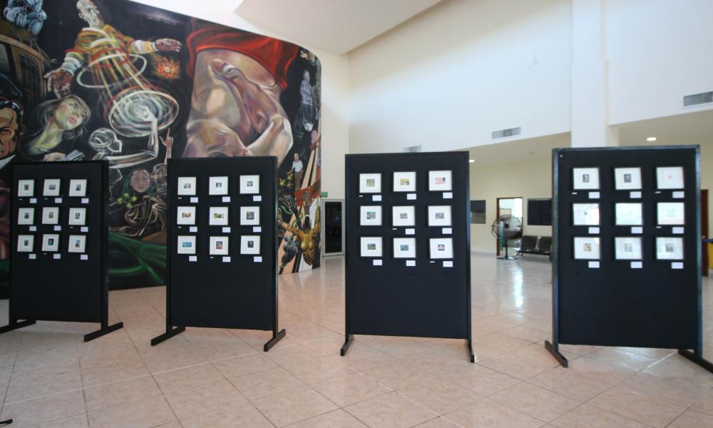 Se presenta en CUCosta la exposición “Perlas de la Corona”