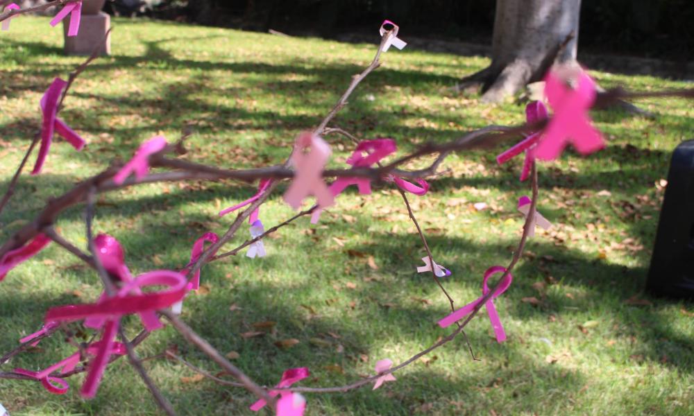 Promueven actividades preventivas vs cáncer de mama en CUCosta