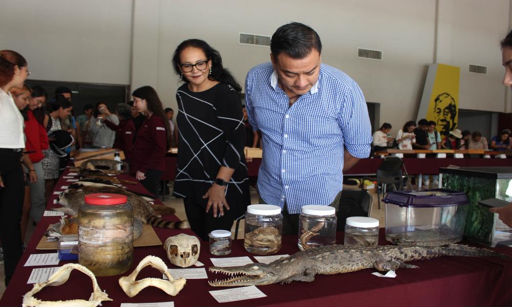 Celebran en CUCosta 15 años de mostrar la Colección Biológica Itinerante