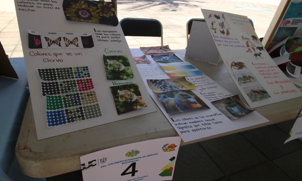 Se presentan 105 trabajos de alumnos de la Carrera de Biología