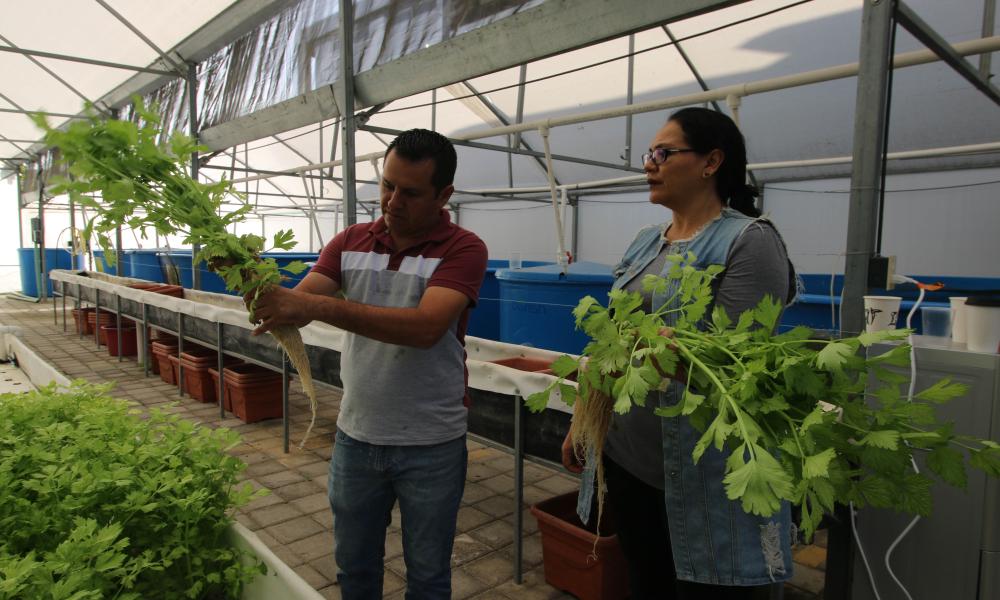 Inician clases en el nuevo edificio de Acuicultura del CUCosta