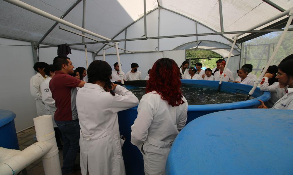 Inician clases en el nuevo edificio de Acuicultura del CUCosta