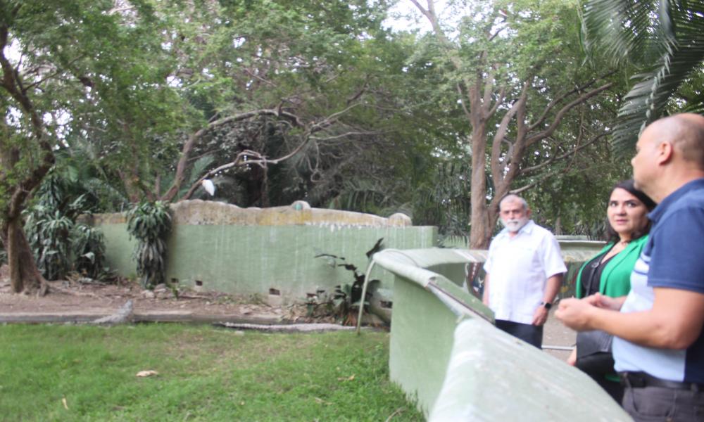 Refrendan convenio entre CUCosta e instituciones universitarias en Canadá