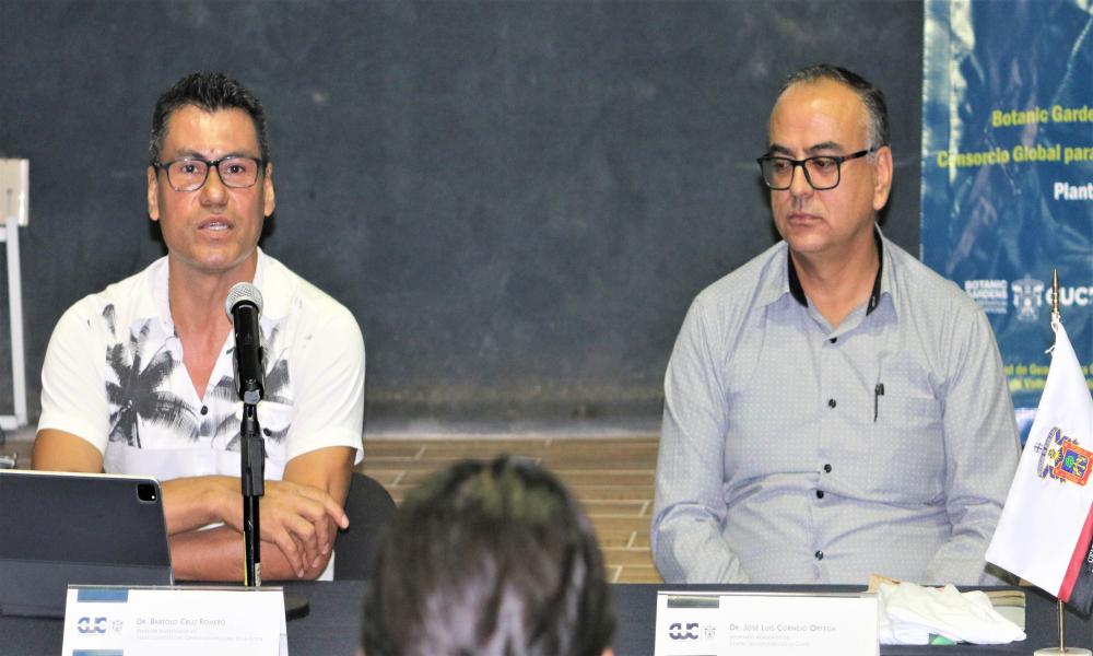 Entregan Magnolia Vallartensis para reproducir en CUCosta