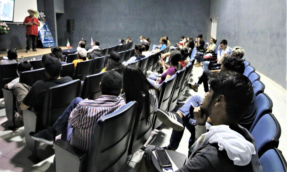 Entregan Magnolia Vallartensis para reproducir en CUCosta