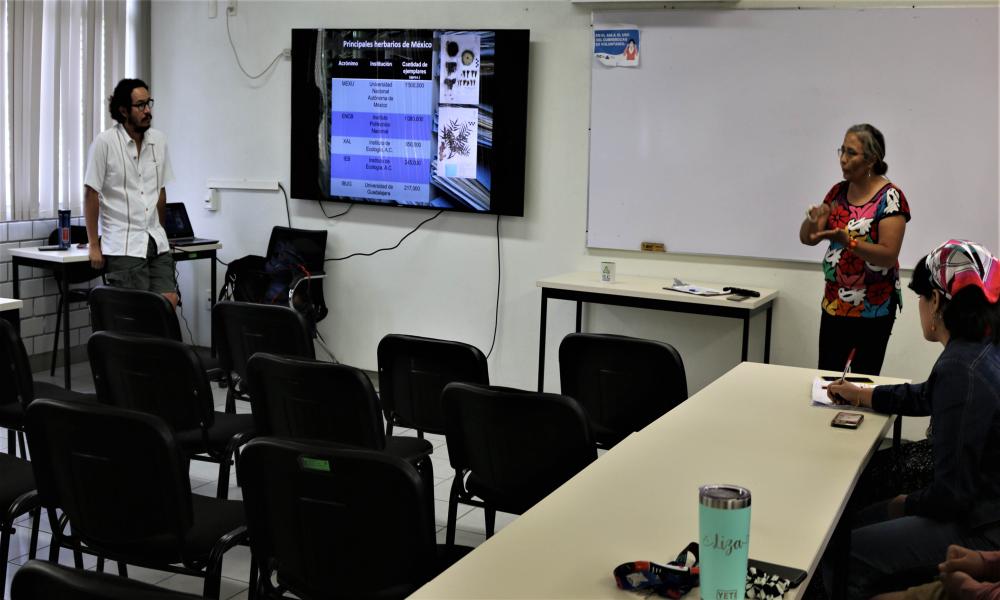 Investigador resalta que han identificado 12 plantas nuevas en esta región