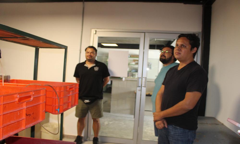 Rectores del CUCosta y CUCSur establecen acuerdos de colaboración