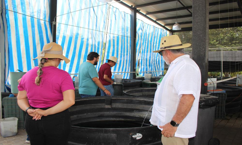 Rectores del CUCosta y CUCSur establecen acuerdos de colaboración