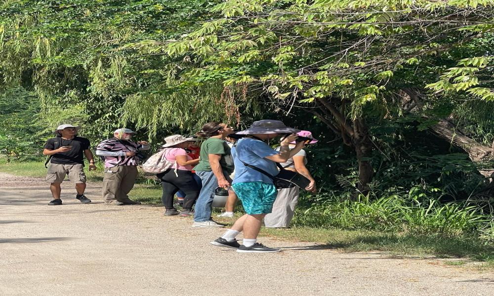 Registran con fotografías la diversidad biológica en río Pitillal