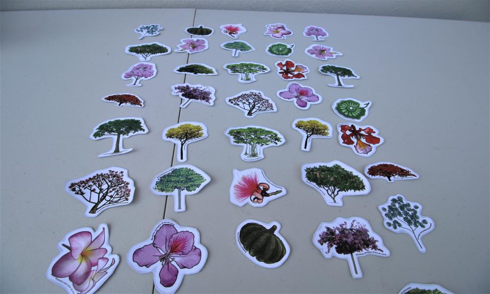 Con éxito concluyó la Primera Semana de Arboricultura Tropical del Pacífico