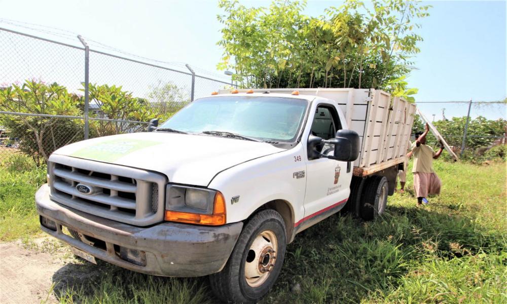CUCosta dona equipo de cómputo y plantas nativas al Ceinjure