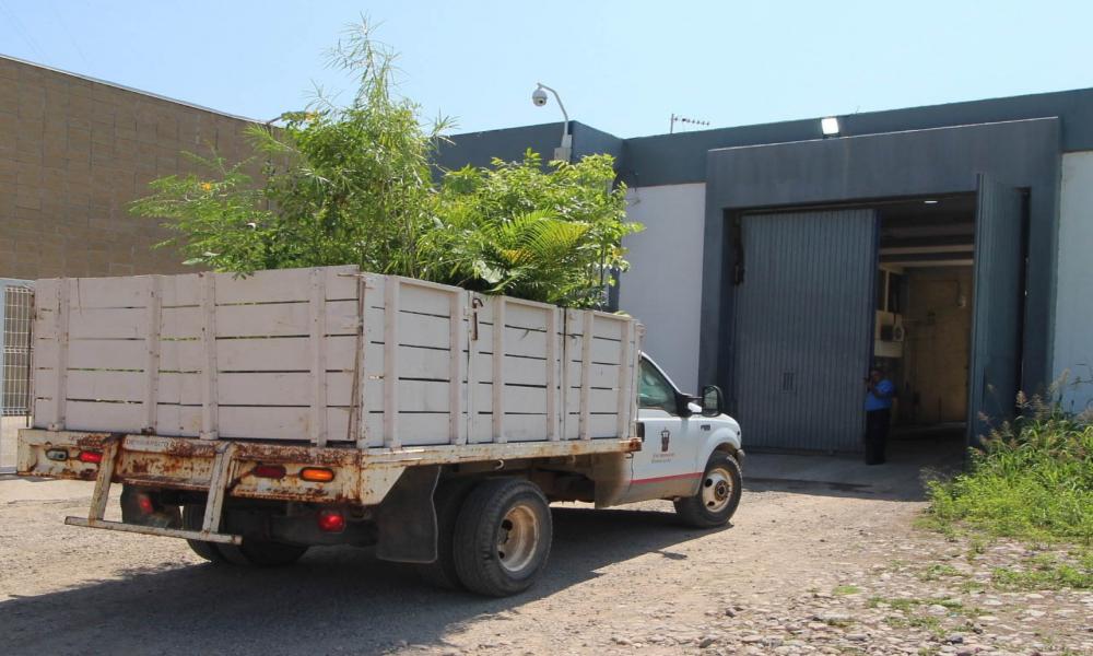 CUCosta dona equipo de cómputo y plantas nativas al Ceinjure