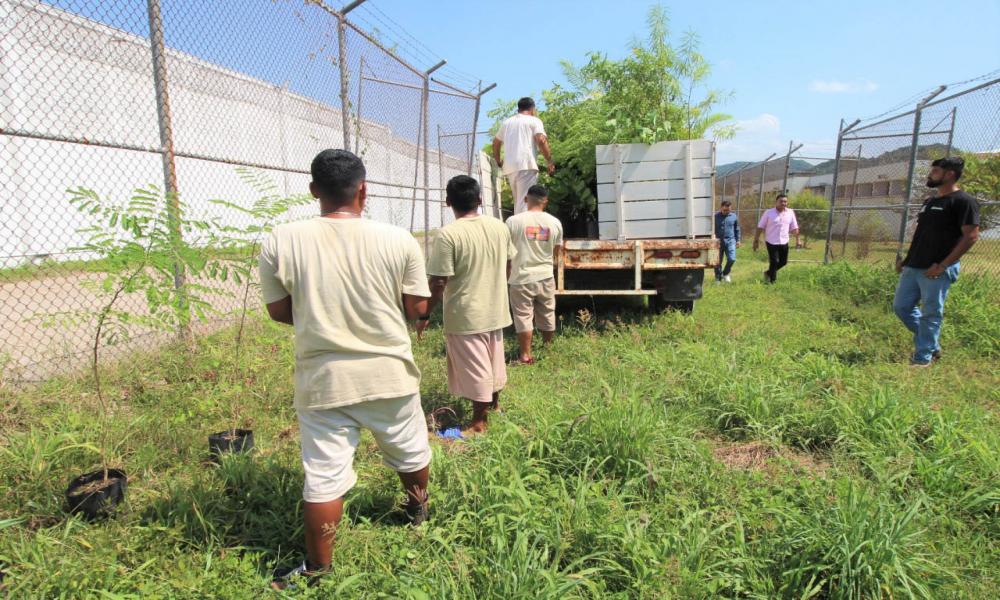 CUCosta dona equipo de cómputo y plantas nativas al Ceinjure