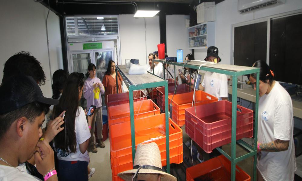 Recibe CUCosta a estudiantes y profesores de Biología de Zacatecas en estancia académica