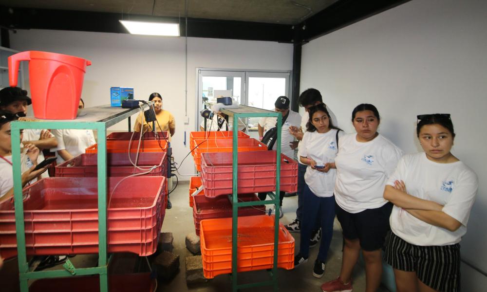 Recibe CUCosta a estudiantes y profesores de Biología de Zacatecas en estancia académica