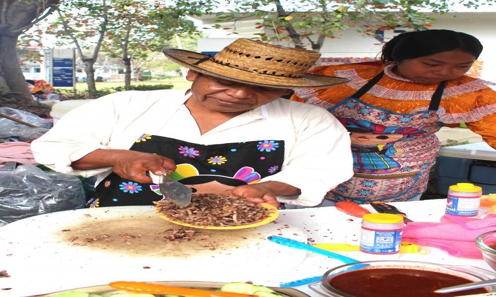 En CUCosta celebraron el “Día Internacional de la Lengua Materna”
