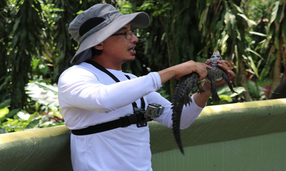 Preservar a los cocodrilos es conservar nuestros ecosistemas