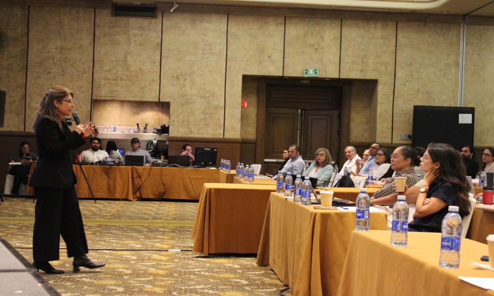 Docentes del CUCosta analizan futuro de la educación superior con enfoque integral y regional